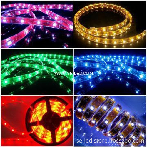 high brightness 5050SMD 60led/m DC12V magic color LED Light Strip